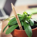 Sprout Plantable Pencil