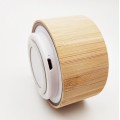 Bamboo Speaker