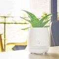 Bluetooth Smart Music Flower Pot