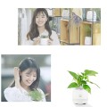 Bluetooth Smart Music Flower Pot