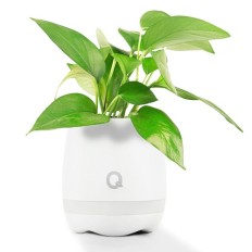 Bluetooth Smart Music Flower Pot