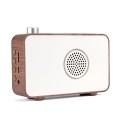 Radio Wireless Speaker