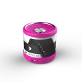 TWS BT Bluetooth Speaker