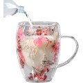 Double wall glass coffee cup