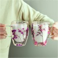 Double wall glass coffee cup