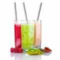 Stainless Steel Drinking Straws (3 Pieces Set)