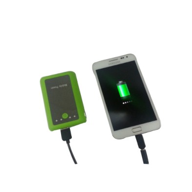 Dual USB Mobile battery charger (power bank) 8400 mAh with 