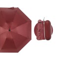 Mini 5 sections Folding Umbrella