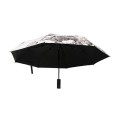 Multifunctional Misting Fan Umbrella