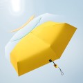 Flat 6 Folding Sunscreen Portable mini Umbrella