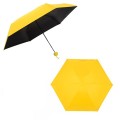 Folding Umbrella with Capsule Case