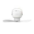 Lamp Rechargeable Camping Remote Control Ceiling Fan