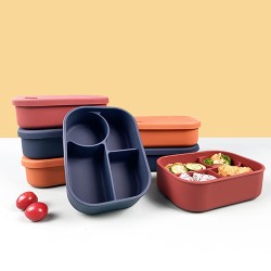 Four-Compartment Silicone Lunch Box