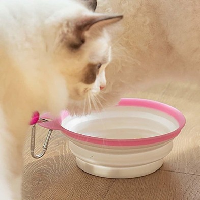 Pet Silicone Folding Bowl