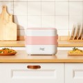 Multifunctional heating double layer lunch box 2L