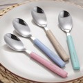 Portable Flatware set with Stainless Steel Case