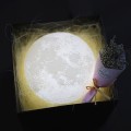 3D Printed LED Moon Light