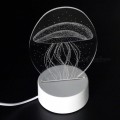 3D Acrylic Night Light