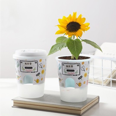 Coffee Cup DIY Potted Plants