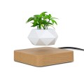 Flower Pot Magnetic Levitating Plant