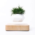 Flower Pot Magnetic Levitating Plant