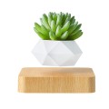 Flower Pot Magnetic Levitating Plant