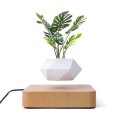 Flower Pot Magnetic Levitating Plant