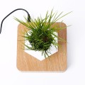 Flower Pot Magnetic Levitating Plant