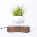 Flower Pot Magnetic Levitating Plant