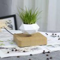 Flower Pot Magnetic Levitating Plant