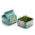 Desktop Bubble Box Mini Small Potted Plant