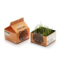 Desktop Bubble Box Mini Small Potted Plant