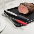 Joseph Joseph-Duo™ Carve and the Cut&Carve™ 肉類料理工具套裝