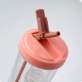 Fruit Infuser Straw Plastic Water Bottle 800ml