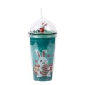 Creative Micro Landscape Double Plastic Straw Cup 450ml