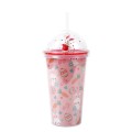 Creative Micro Landscape Double Plastic Straw Cup 450ml