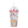 Creative Micro Landscape Double Plastic Straw Cup 450ml