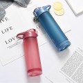 Tritan Frosted Drinking Straws Water Bottle