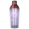 Double Wall Shaker Bottle 450ml