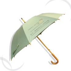 Regular wooden umbrella