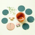 Cactus Coasters