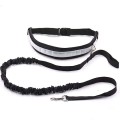 Elastic hands free dog leash