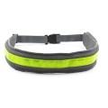 Elastic hands free dog leash