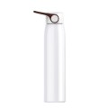 Stainless Steel Thermos with Handle