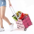 Foldable Plastic Trolley