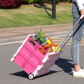 Foldable Plastic Trolley