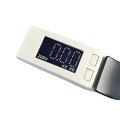 Portable LCD Display Electronic Travel Hanging Weighting