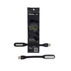 USB Portable LED light-Deloitte