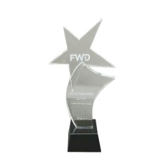 Crystal trophy-FWD