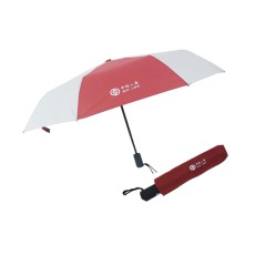 Windproof automatic umbrella-BOCG